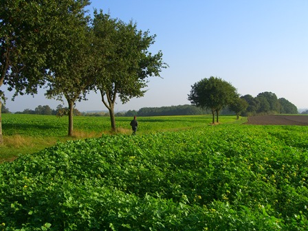 Landschaft_Xanten-Birten_Foto Klaus Wolfertz EAW