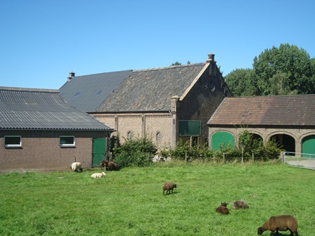 Landschaft_Xanten-Obermörmter_Foto LAG Ndrh.