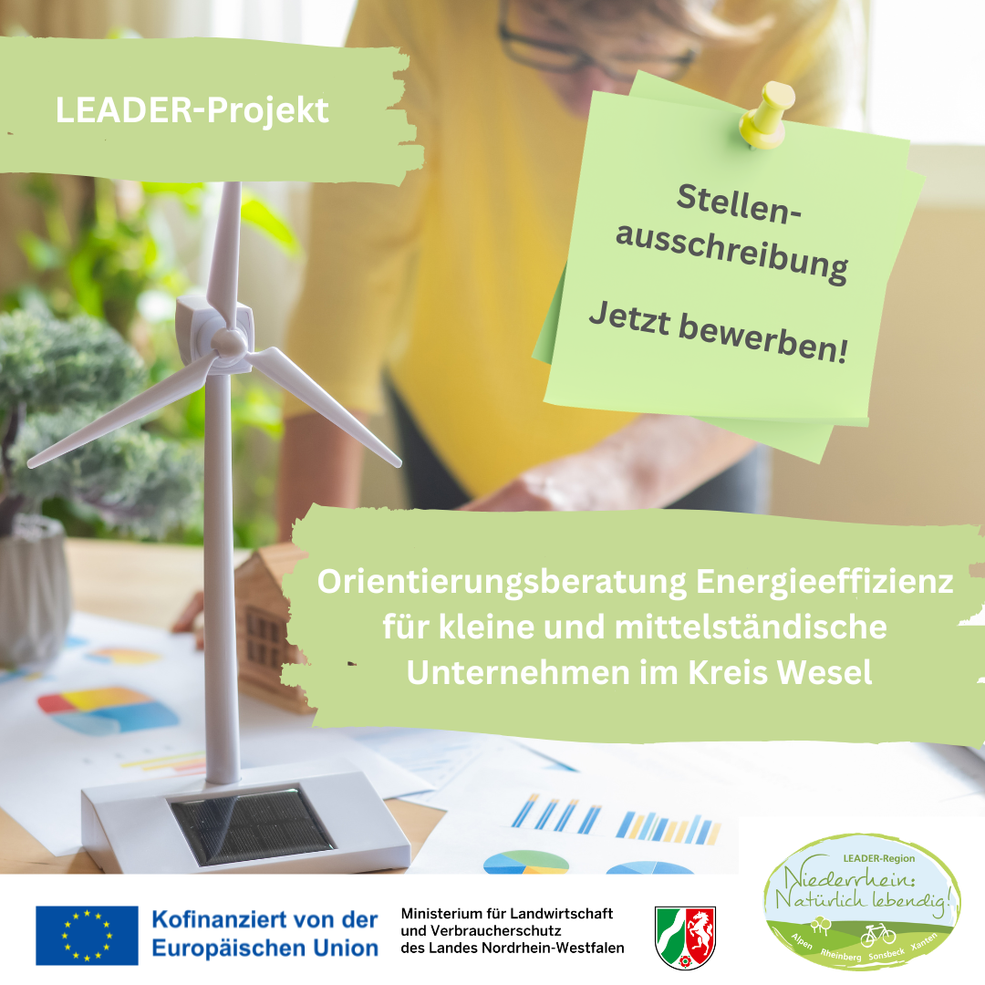 Orientierungsberatung Energieeefizienz